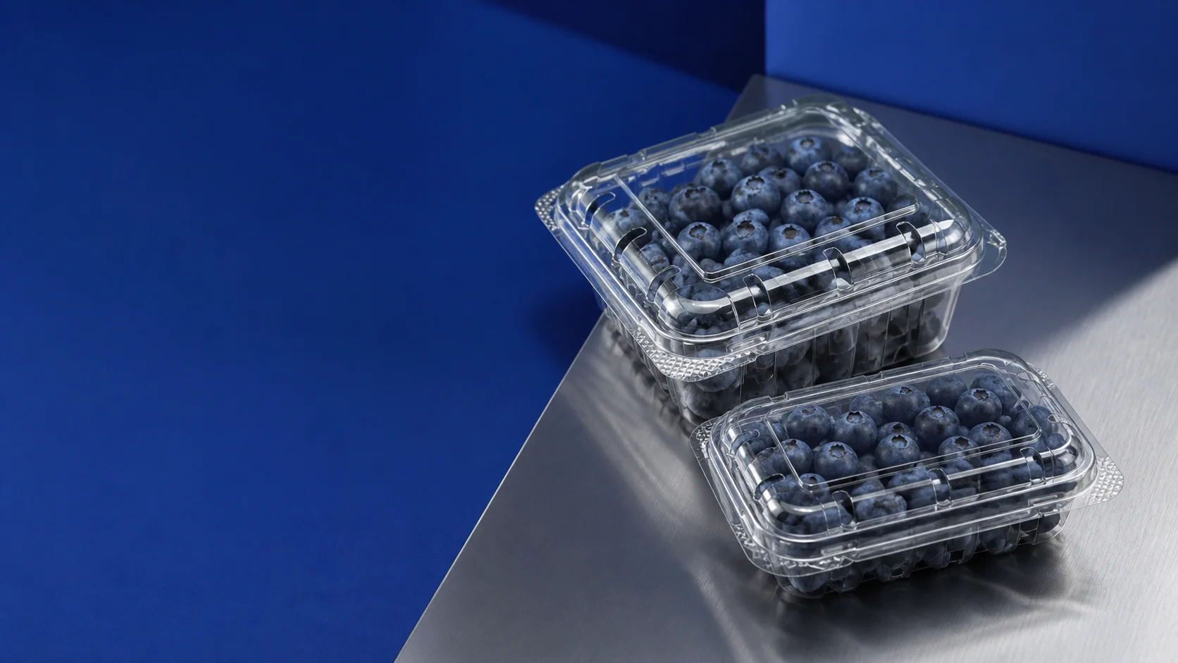 Blueberries packed in Paras clear PET punnets