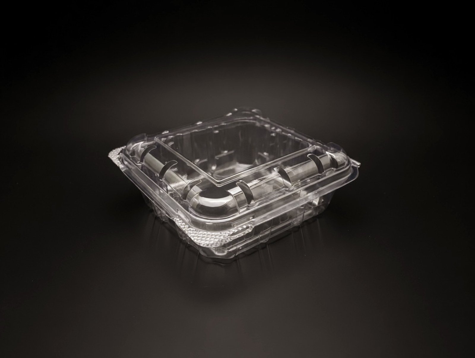 Blueberry 100 ML product photograph